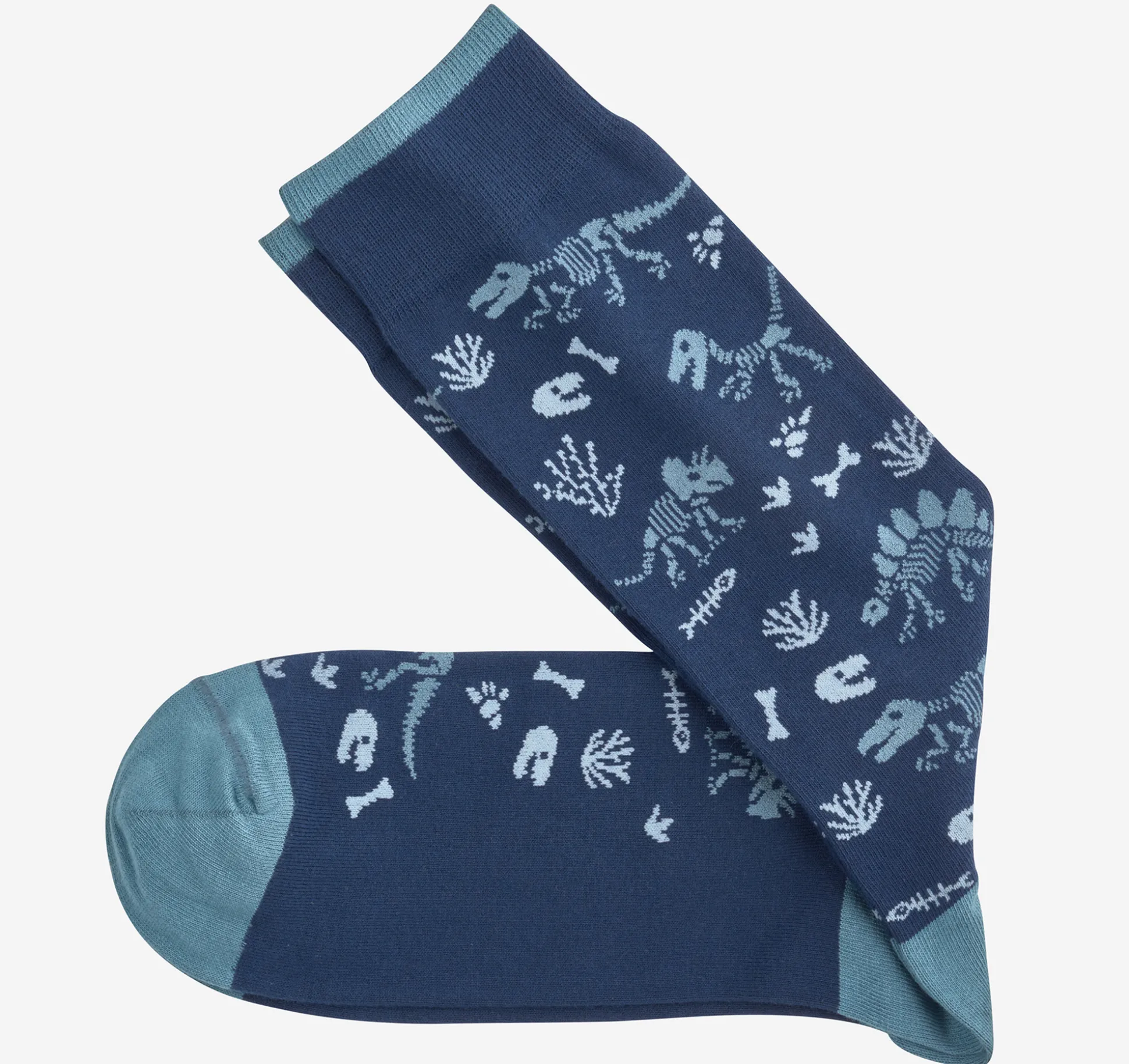 Socks^Johnston & Murphy Novelty Socks NavyDinosaurFossils